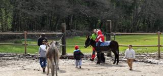 Paseos en burro Jerte